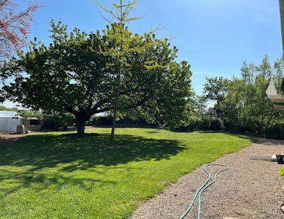Flore'net Paysagiste à Nanterre