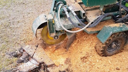 Longuet Paysagiste Elagage Abattage Création De Pelouse Enlèvement de souches 27 76 78, Paysagiste à Saint-Pierre-la-Garenne