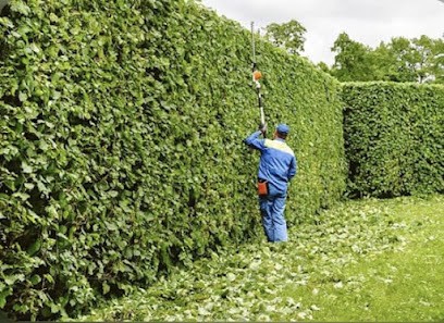 Paysagiste Elagage Grenoble, Paysagiste à Echirolles