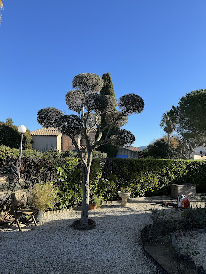 Paysagiste / Élagueur / Jardinier - Var / Green'horizon, Paysagiste à Solliès-Pont