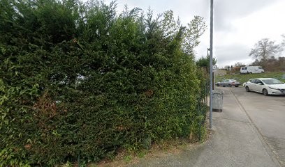 Sarl Vert Et Bleu, Paysagiste à Montrabé