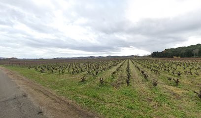 VERTSERVICES CHANIOL BRUNO, Paysagiste à Saint-Alexandre