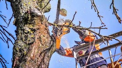 ENTREPRISE PASCUCCI, Paysagiste à Arles