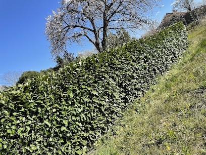 ECO FLO, Paysagiste à Chaudenay