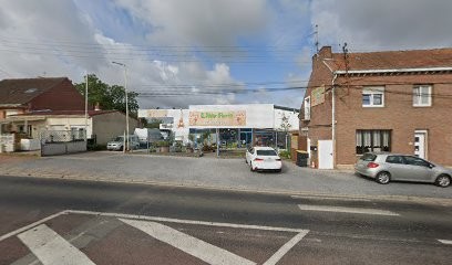 Laignel Jean Philippe, Paysagiste à Sains-en-Gohelle