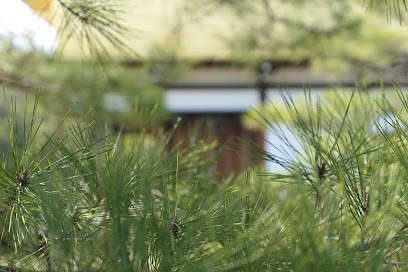 MIERU · Paysagiste, Paysagiste à Kilstett