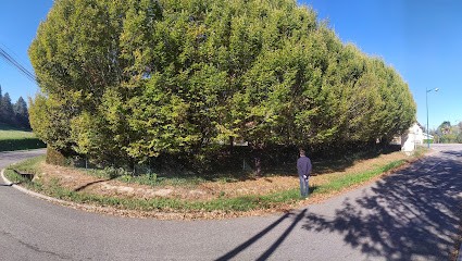 Ph CUQUEL Services Jardins, Paysagiste à Lafrançaise
