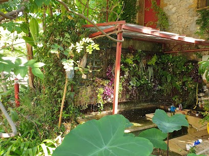 Art floral, Paysagiste à Montauroux