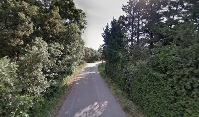 Fain Roland, Paysagiste à Visan