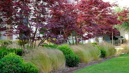 Grandeur Nature Pays D'Auge, Paysagiste au Breuil-en-Auge