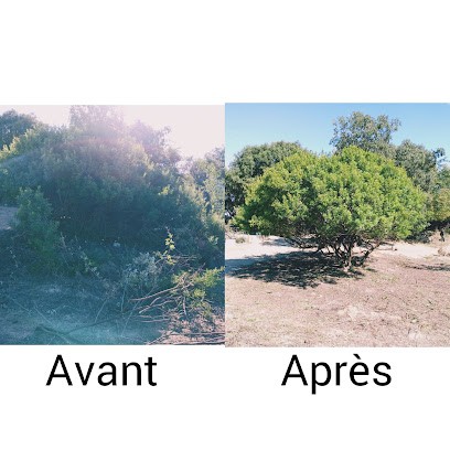 LDAP Jardinier Paysagiste, Paysagiste au Puech