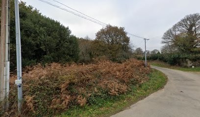 Le Dro Gilles, Paysagiste à Nostang