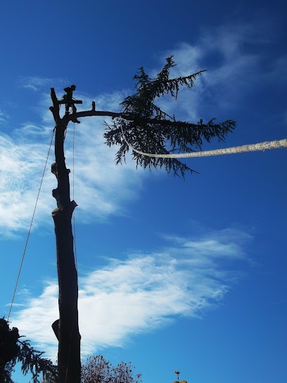Colas Jérôme, Paysagiste à Saint-Symphorien-d'Ozon