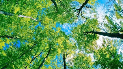 VERTUOSE ESPACES VERTS, Paysagiste à La Gaude