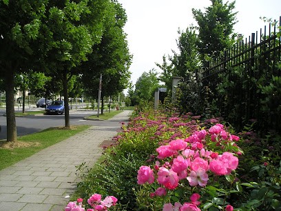 id verde, Paysagiste à La Courneuve