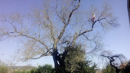 Aux Arbres de Loïc, Paysagiste à Ivry-la-Bataille