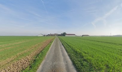 Ghalipaysages, Paysagiste à Saint-Germain-Laxis