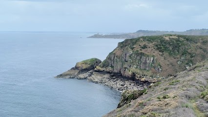 Jardi Clean, Paysagiste à Saint-Lunaire