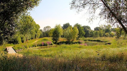Delacroix Arnauld, Paysagiste à Saumur
