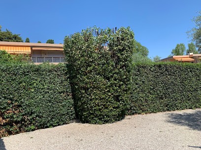 Lovazzani Jardins, Paysagiste à Grasse
