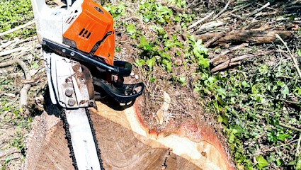 E.JAMES - Paysagiste / Elagage, Paysagiste à Séméac