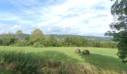 Polbost Parcs et Jardins, Paysagiste à Saint-Julien-de-Lampon