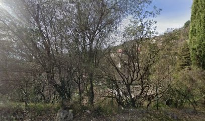 AURA PAYSAGE, Paysagiste à Carros