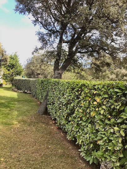 Au Fil Des Saisons, Paysagiste à Jouques