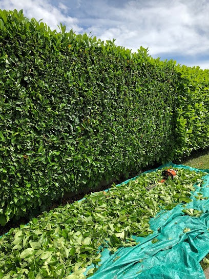 Steph’Services, Paysagiste à Saint-Hilaire-de-Brens