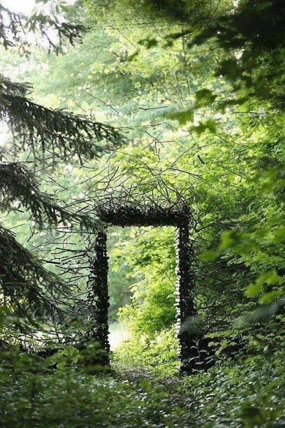 Maud Est Au Jardin, Paysagiste à Saint-Sauveur-des-Landes
