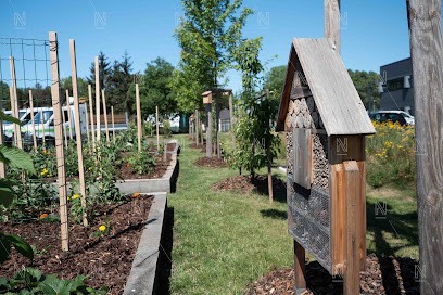 GINKGO ESPACES VERTS, Paysagiste à Eschau