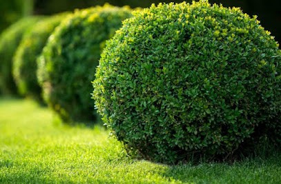 Paysagiste Dietz 71🌳 Paysagiste - Élagueur - Entretien - Espaces verts, Paysagiste à Jully-lès-Buxy