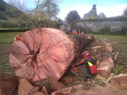 Rémy Constant, Paysagiste à Marmanhac