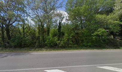 Bouix Espaces Verts, Paysagiste à Loriol-du-Comtat