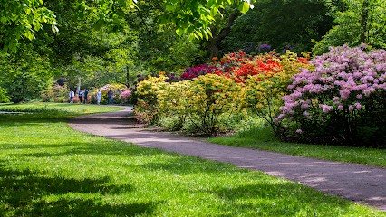 Le Liboux PAYSAGISTE, Paysagiste à Rousson