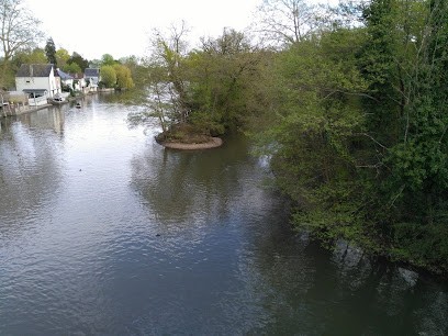 FD Gresser Services, Paysagiste à Olivet