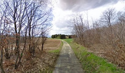 Art & Jardin, Paysagiste aux Côtes-d'Arey