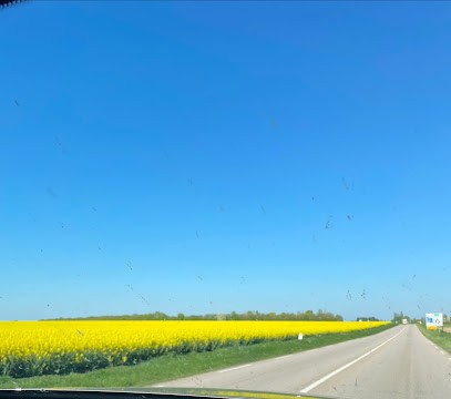 mg paysage, Paysagiste à Malville