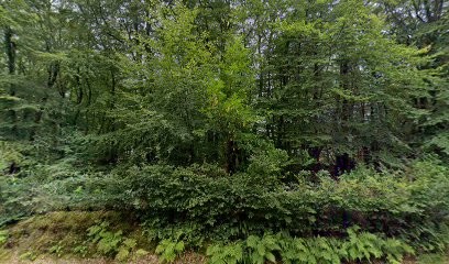 Jardin Des Sens, Paysagiste à Brix