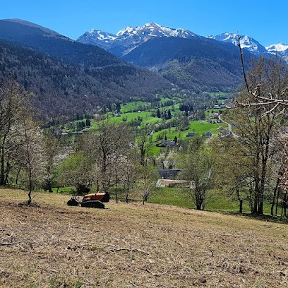 MS Pyrénées broyage, Paysagiste à Labeyrie