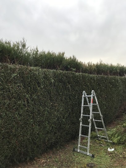 Ltpaysagiste, Paysagiste à Montmacq