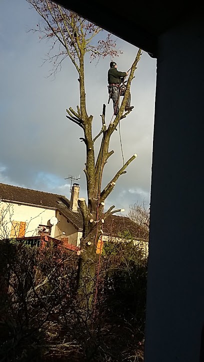 Justin Rudy, Paysagiste à Cheppes-la-Prairie