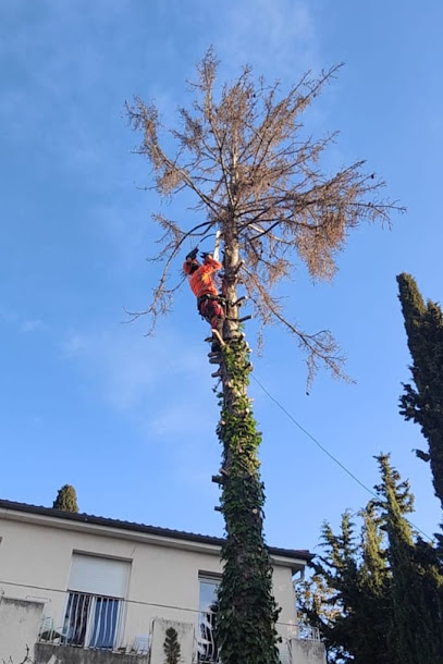 Eev Paca Paysagiste à la Seyne-sur-Mer