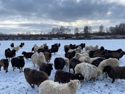 Solveg, Paysagiste à Saint-Pierre-en-Auge
