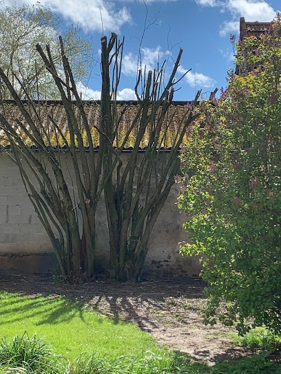 SPC Espaces Verts, Paysagiste à Montévrain