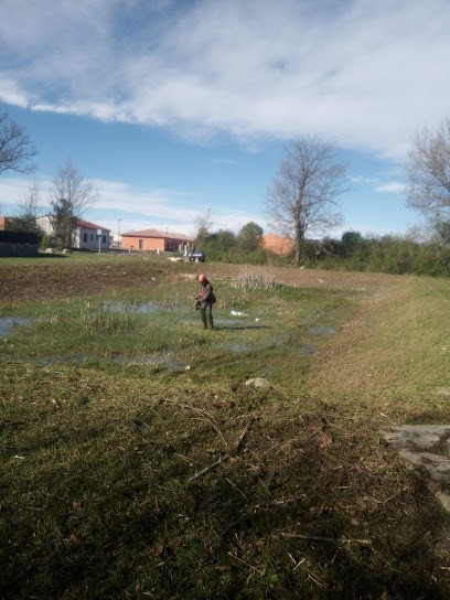 Espace Vert Sapin, Paysagiste à Peyssies