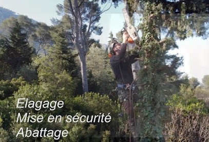 JEROME JARDINS, Paysagiste au Revest-les-Eaux