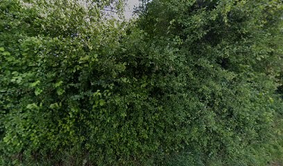 Mary Philippe, Paysagiste à Criquetot-sur-Ouville