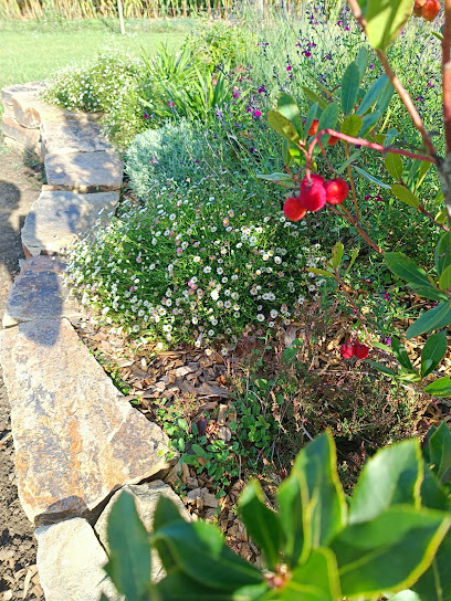 Les Jardins De Violette, Paysagiste à Chemillé-en-Anjou