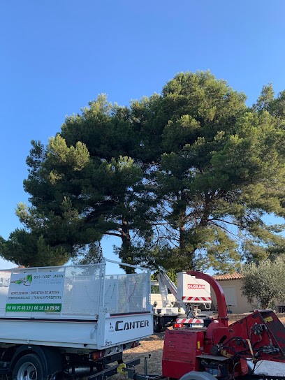 Bois Forêt Jardin - Elagage Et Espaces Verts, Paysagiste à Saint-Cyr-sur-Mer
